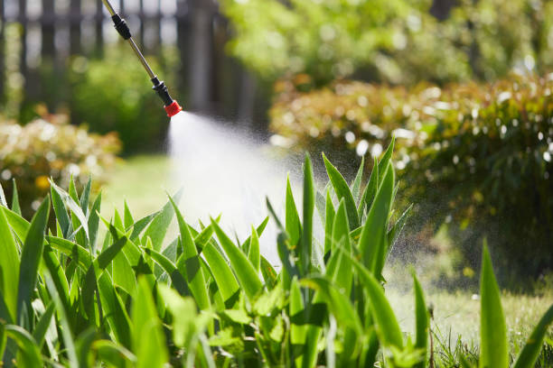 24/7 Emergency Mosquito Control experts in Banks Springs, LA