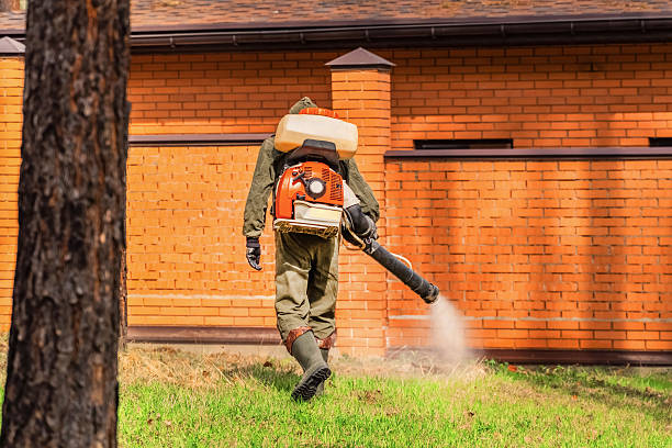 Trusted Bed Bug Control service in Banks Springs, LA - Nex Pest Control